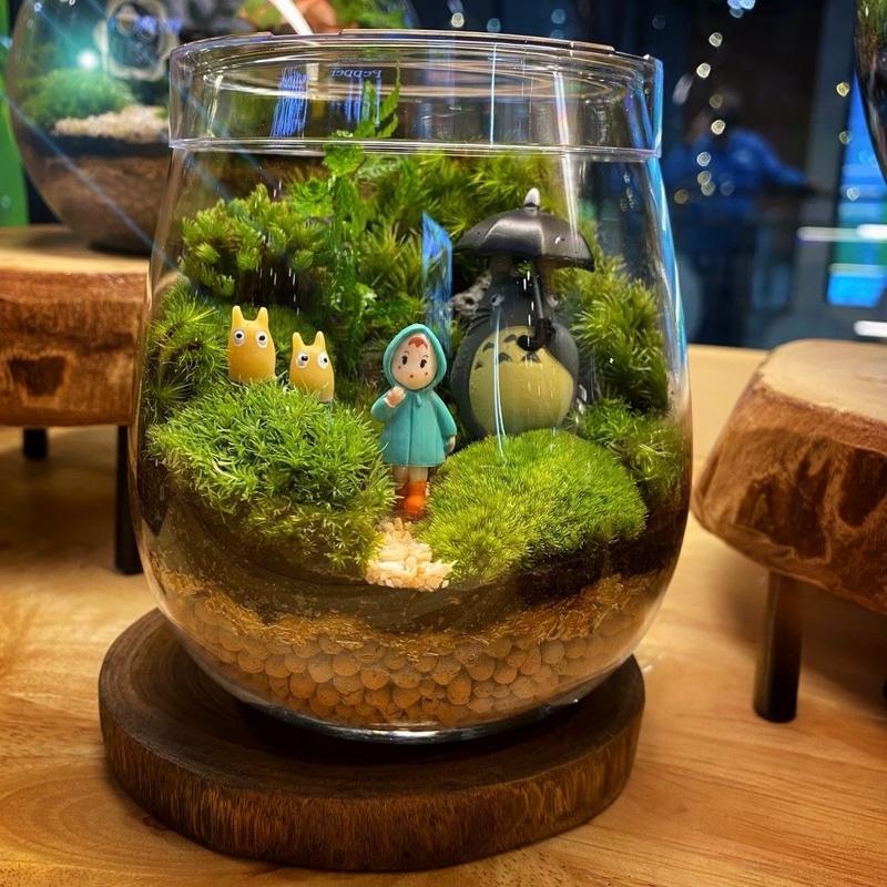 Everlasting Terrarium Making Workshop