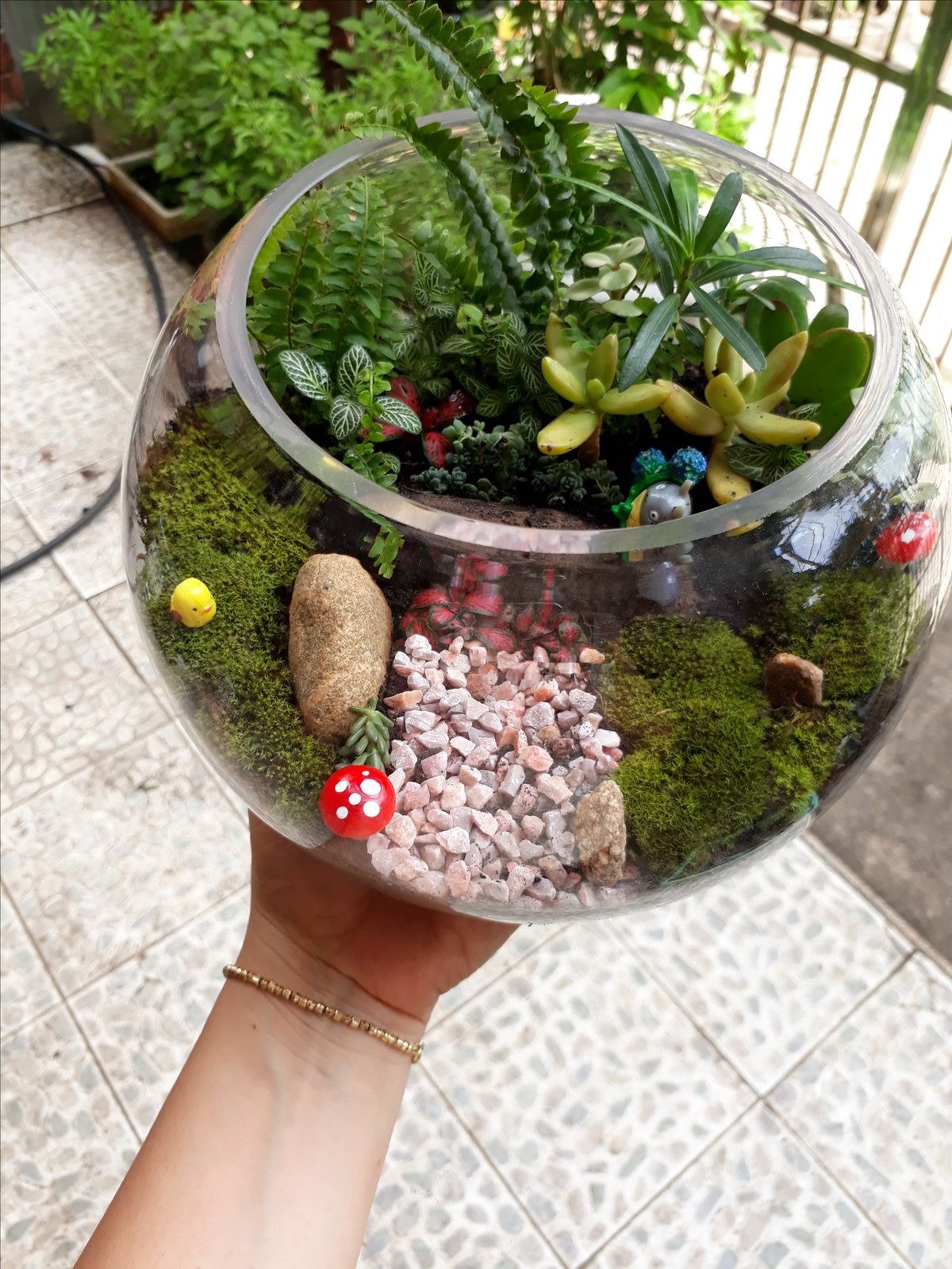 Real-Plant Terrarium Making Workshop